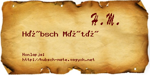 Hübsch Máté névjegykártya